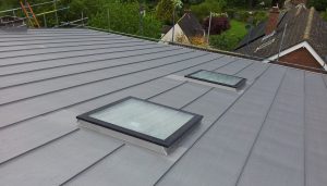 Rooflights in Zinc Roofing